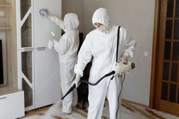 Mold Removal Process in Fife Heights, WA