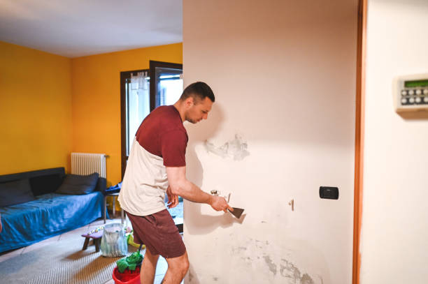 Office Mold Removal Services in Fife Heights, WA